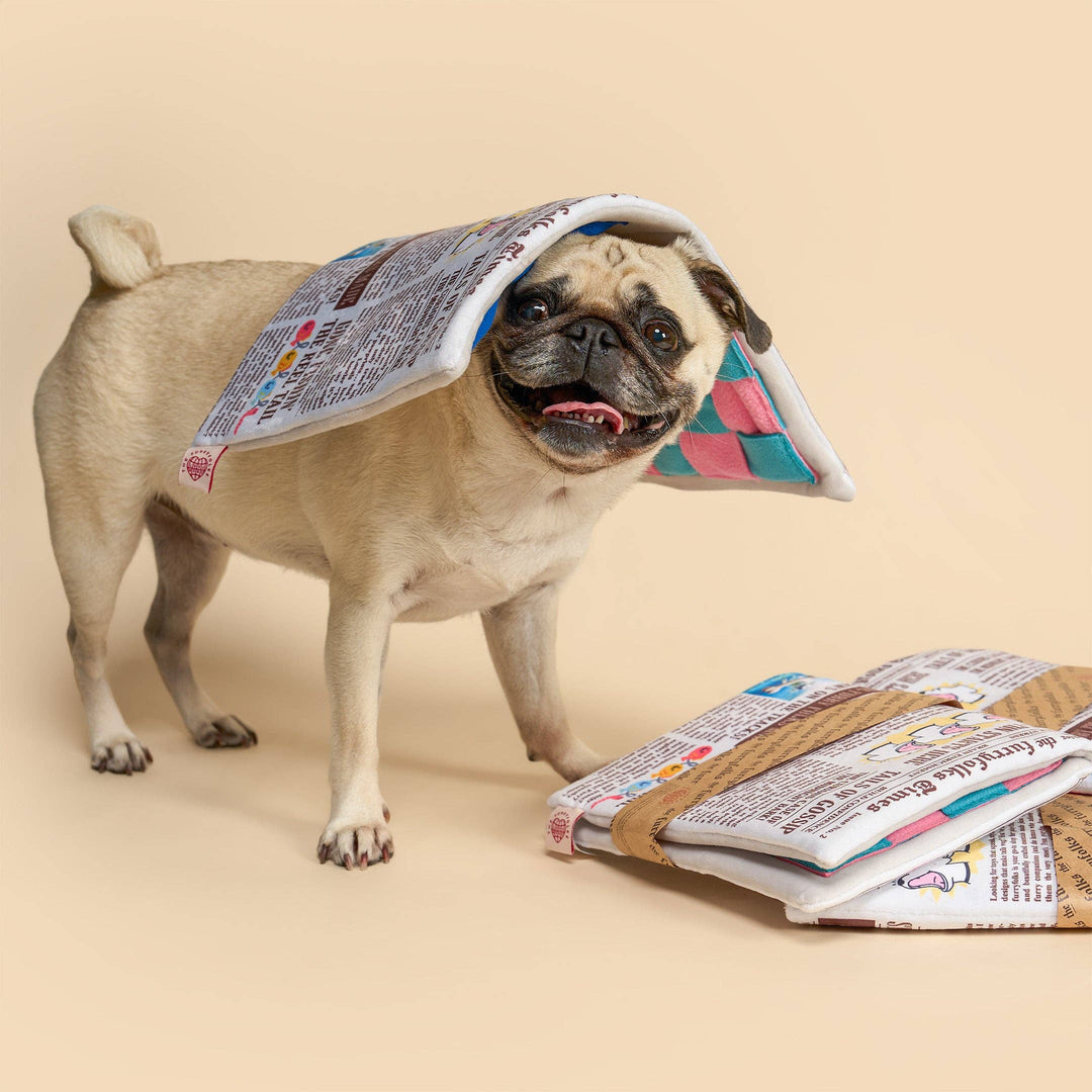 Newspaper Ver. 2 Nosework Toy