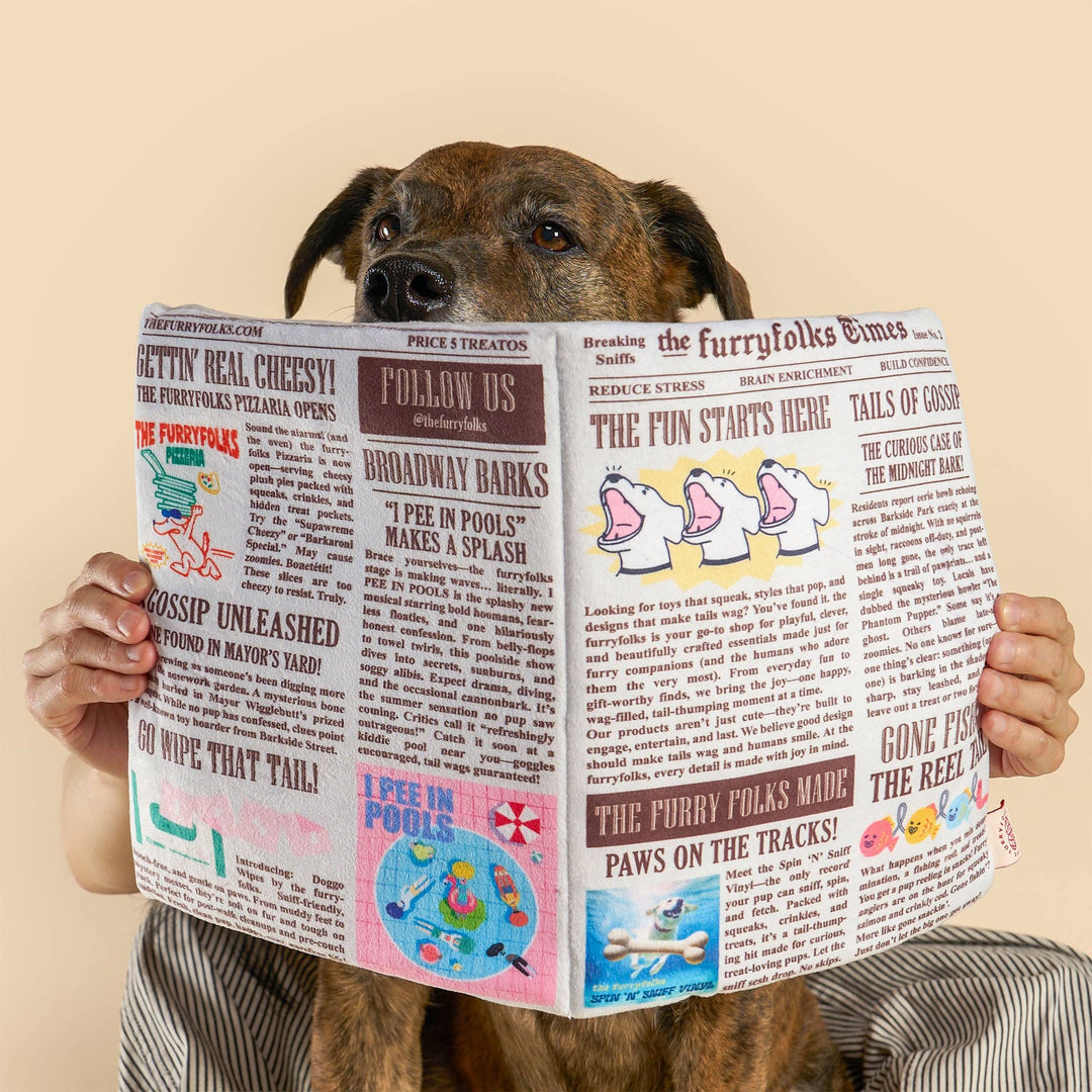 Newspaper Ver. 2 Nosework Toy