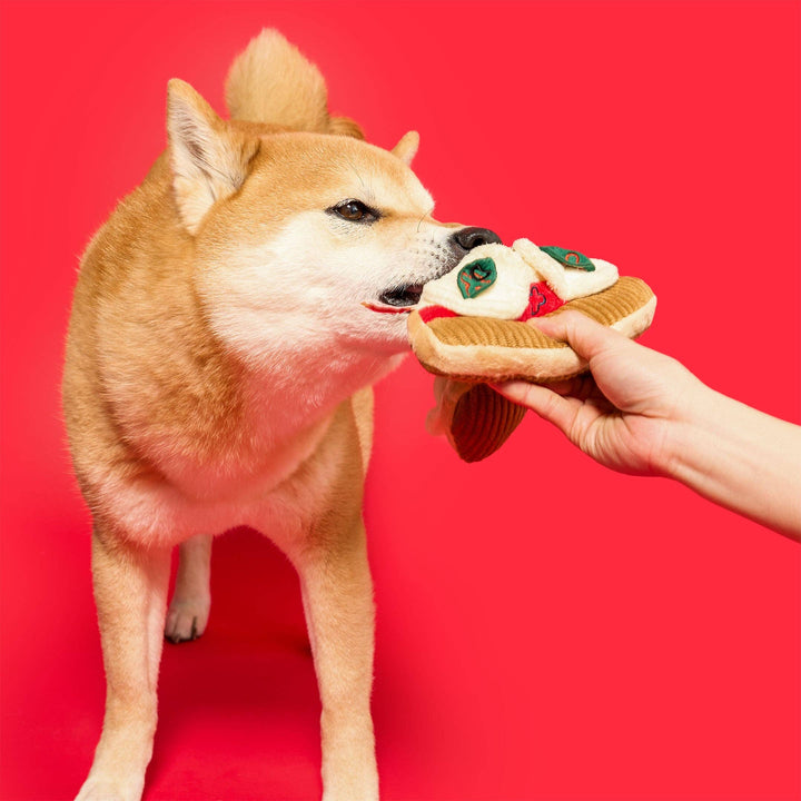 Pizza Enrichment Toy