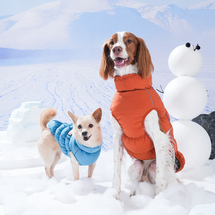 Kiroro Cloud Padding Vest - Dog Winter Vest