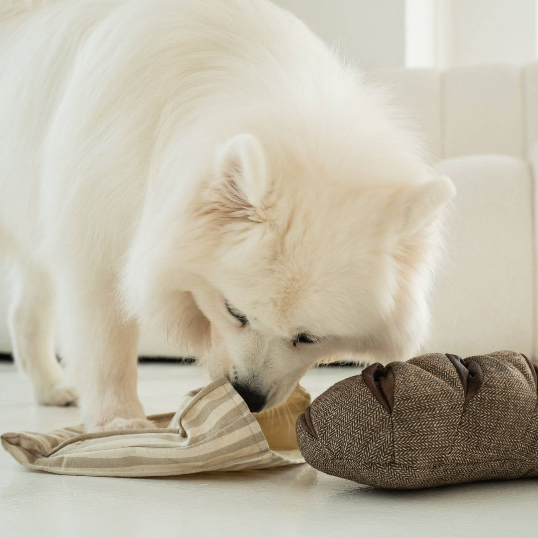 Rye Enrichment Dog Toy