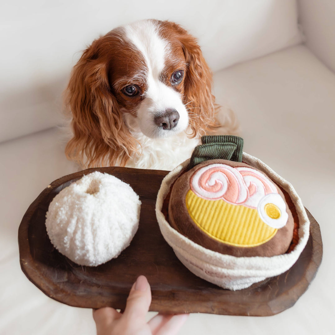 Ramen Enrichment Dog Toy