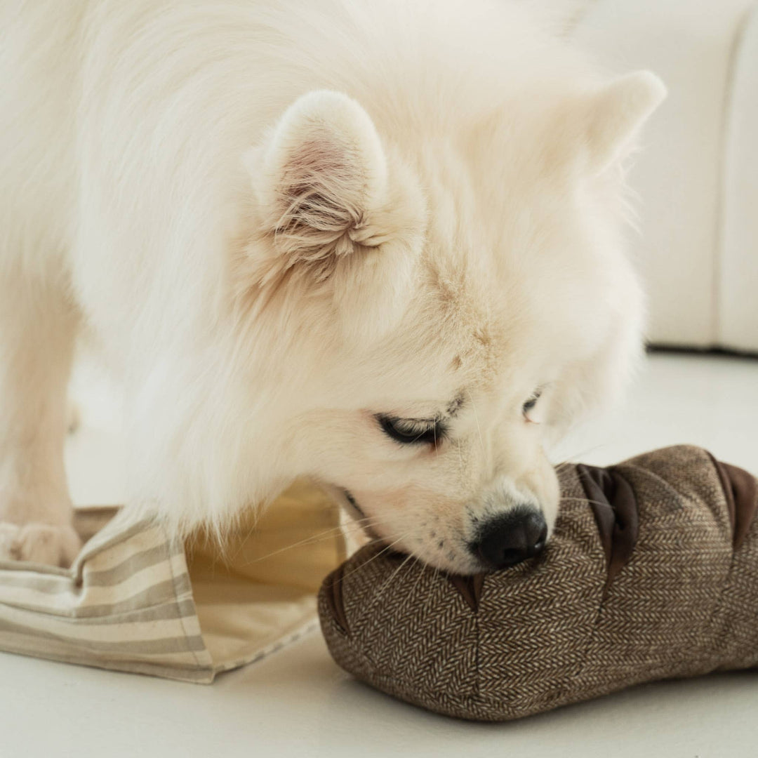 Rye Enrichment Dog Toy
