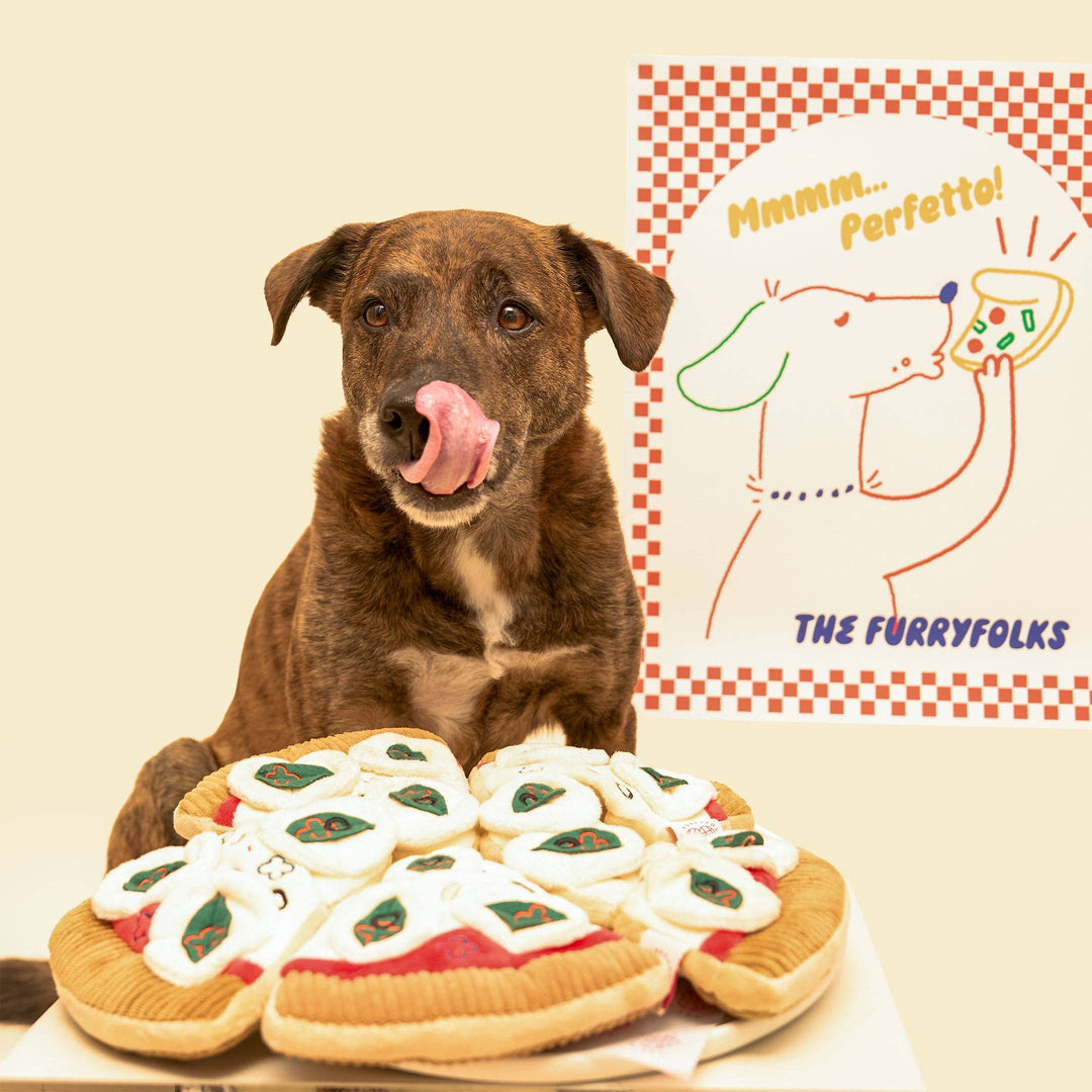 Pizza Enrichment Toy