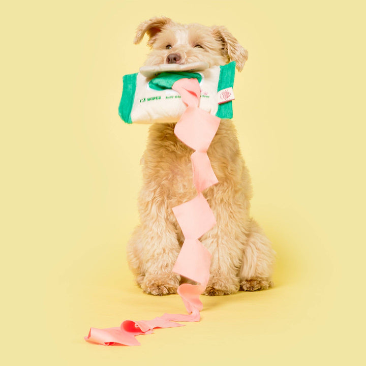 Doggo Wipe Nosework Toy