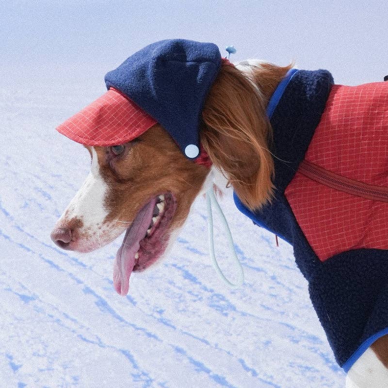 Ear Cover Fleece Dog Hat