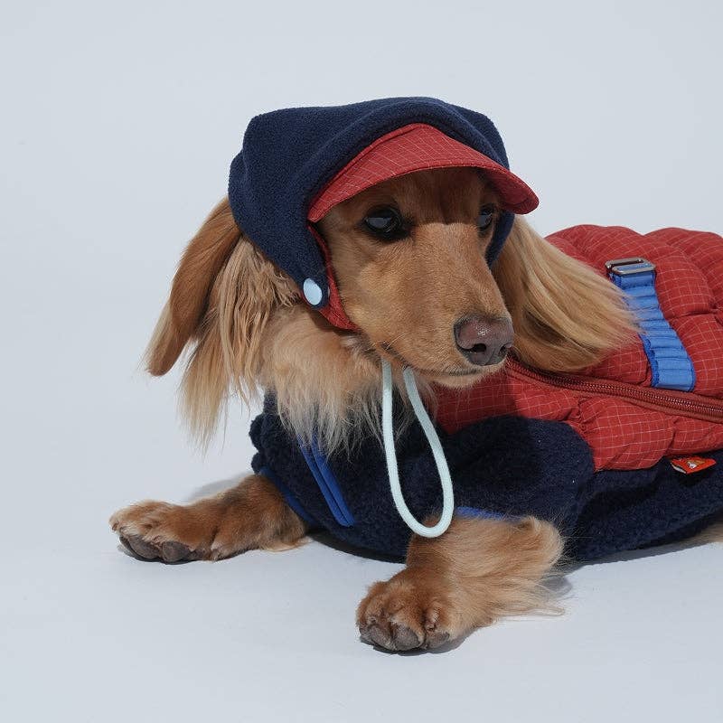 Ear Cover Fleece Dog Hat