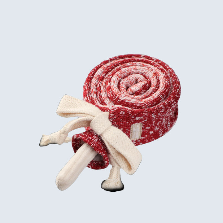 Lollipop Enrichment Dog Toy