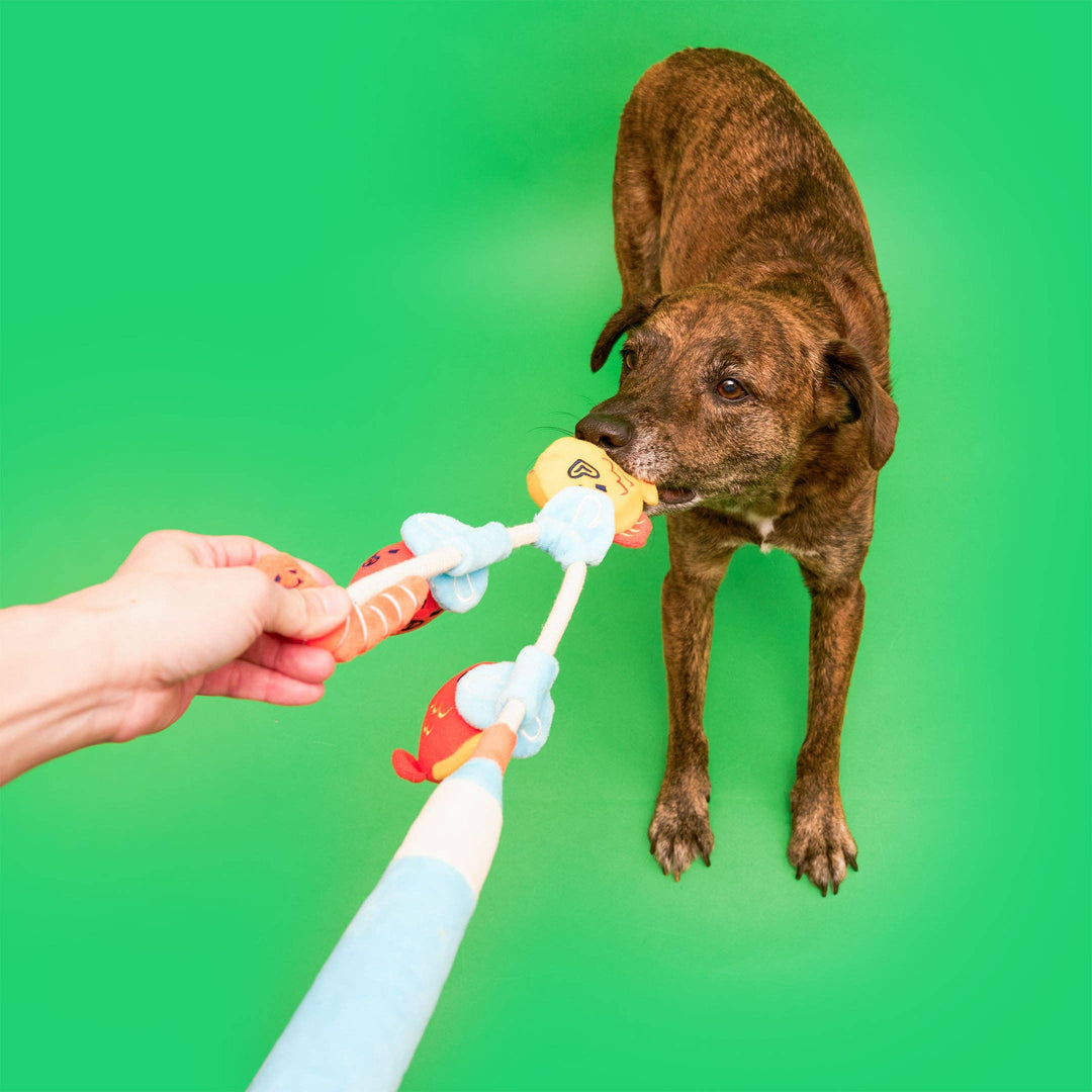 Fishing Nosework & Tug Toy