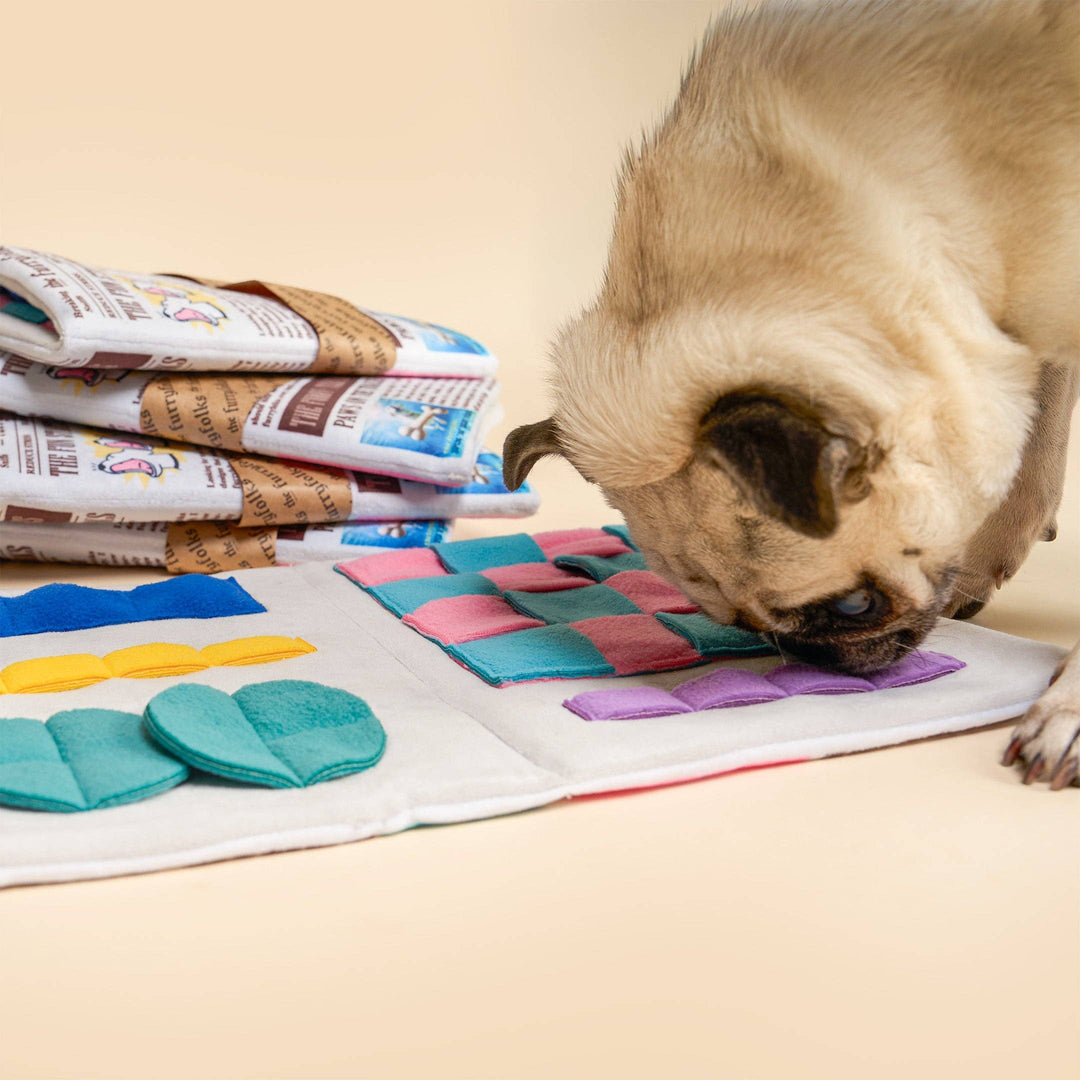 Newspaper Ver. 2 Nosework Toy