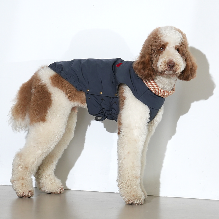 Check My Heart Padding - Dog Winter Jacket