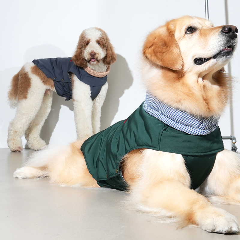 Check My Heart Padding - Dog Winter Jacket
