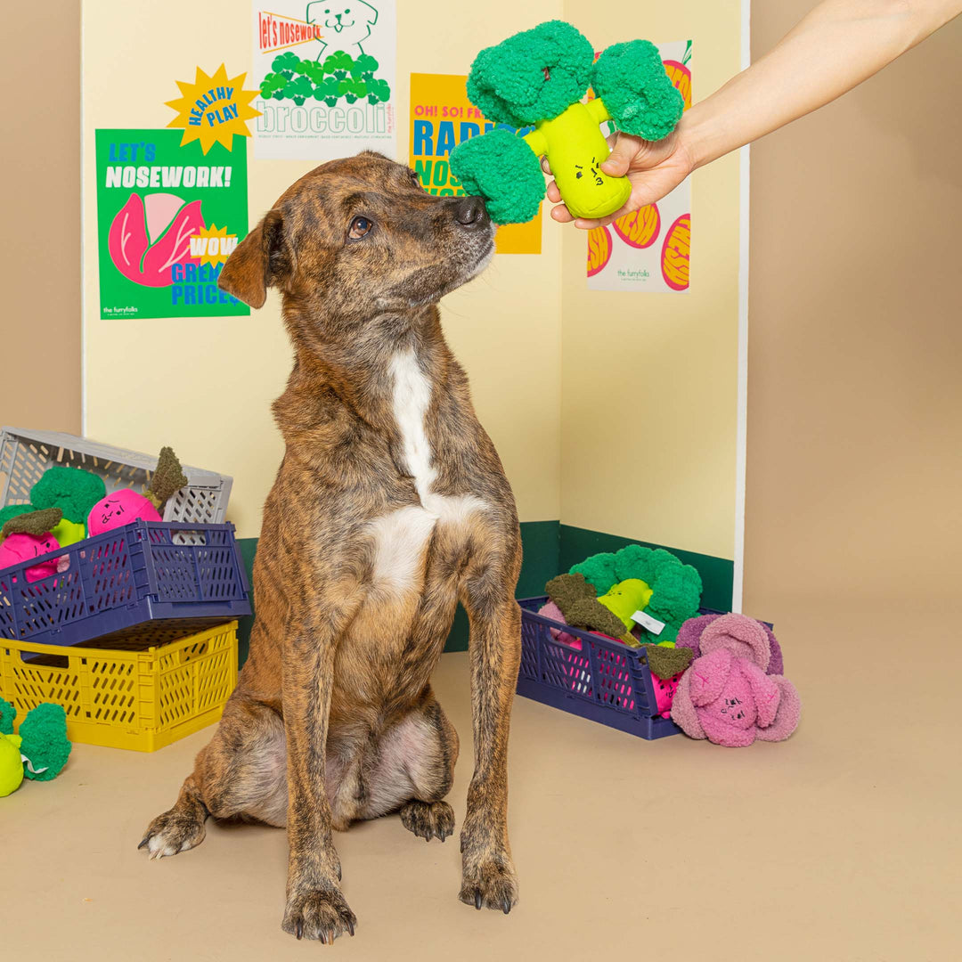 Broccoli Nose Work Toy
