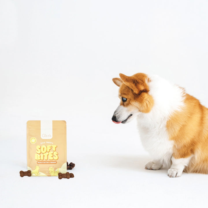 Peanut Butter & Banana Chewy Dog Treats