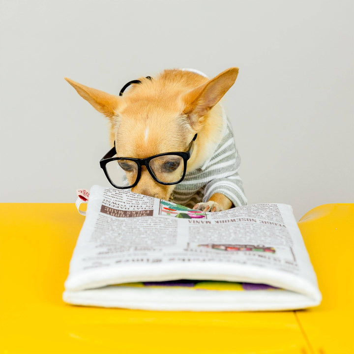 Newspaper Ver. 2 Nosework Toy