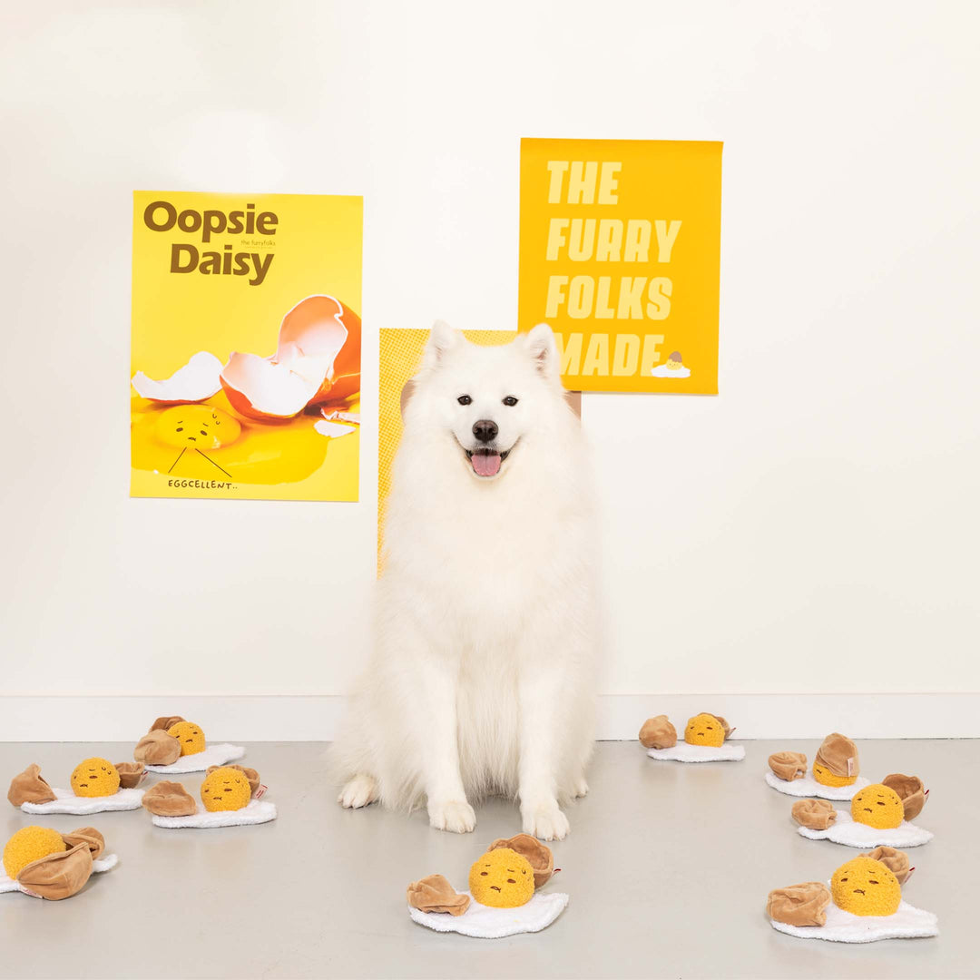 Egg-cellent Enrichment Toy