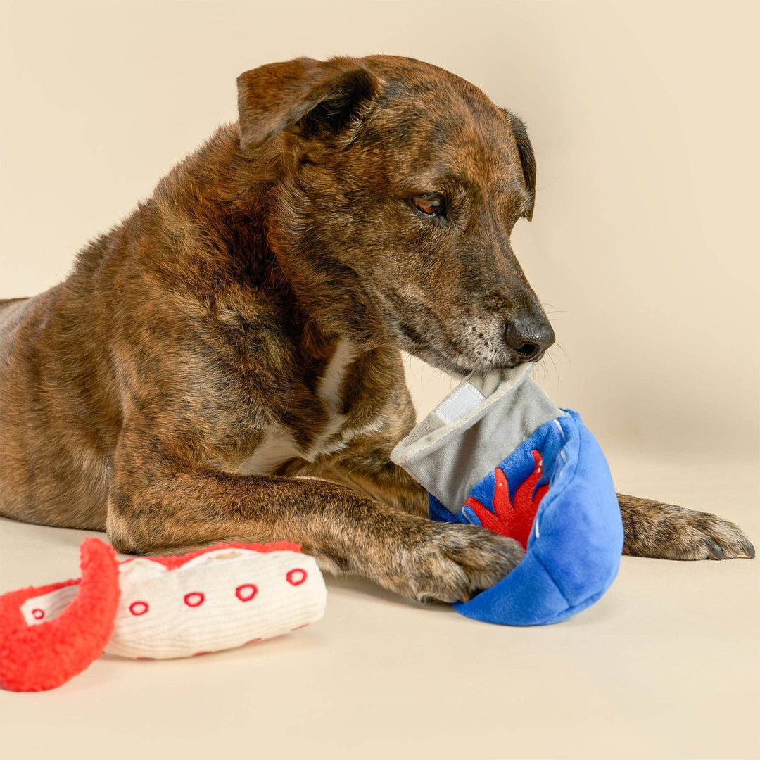 Tinned Octopus Nosework Toy