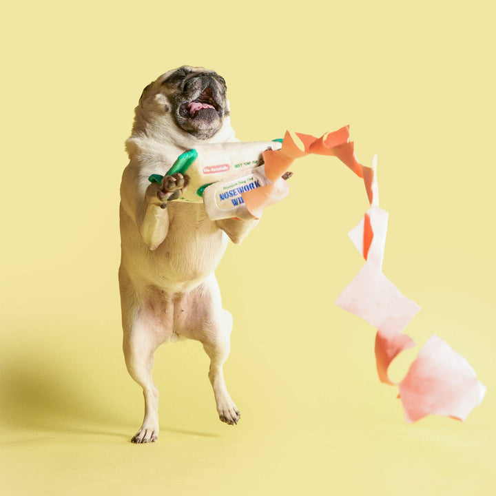 Doggo Wipe Nosework Toy