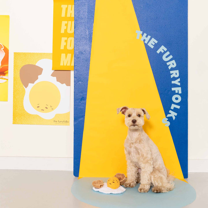 Egg-cellent Enrichment Toy