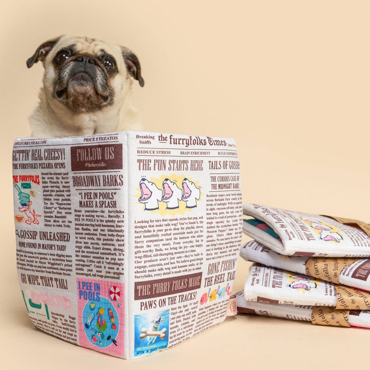 Newspaper Ver. 2 Nosework Toy