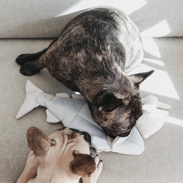 Trout Enrichment Dog Toy