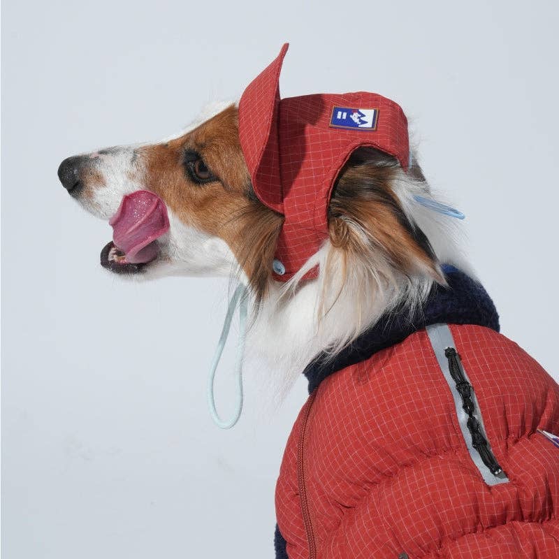 Ear Cover Fleece Dog Hat