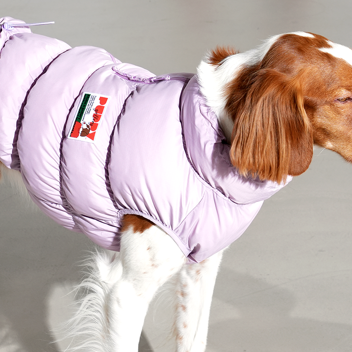 Kiroro Cloud Padding Vest - Dog Winter Vest