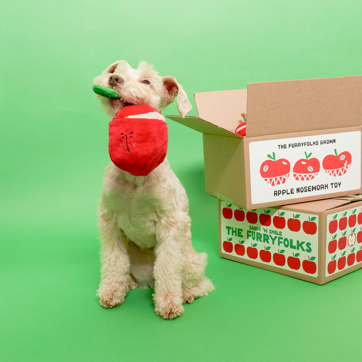 Apple Enrichment Dog Toy