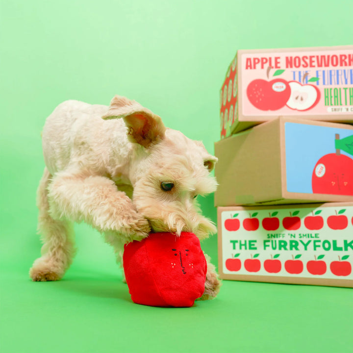 Apple Enrichment Dog Toy