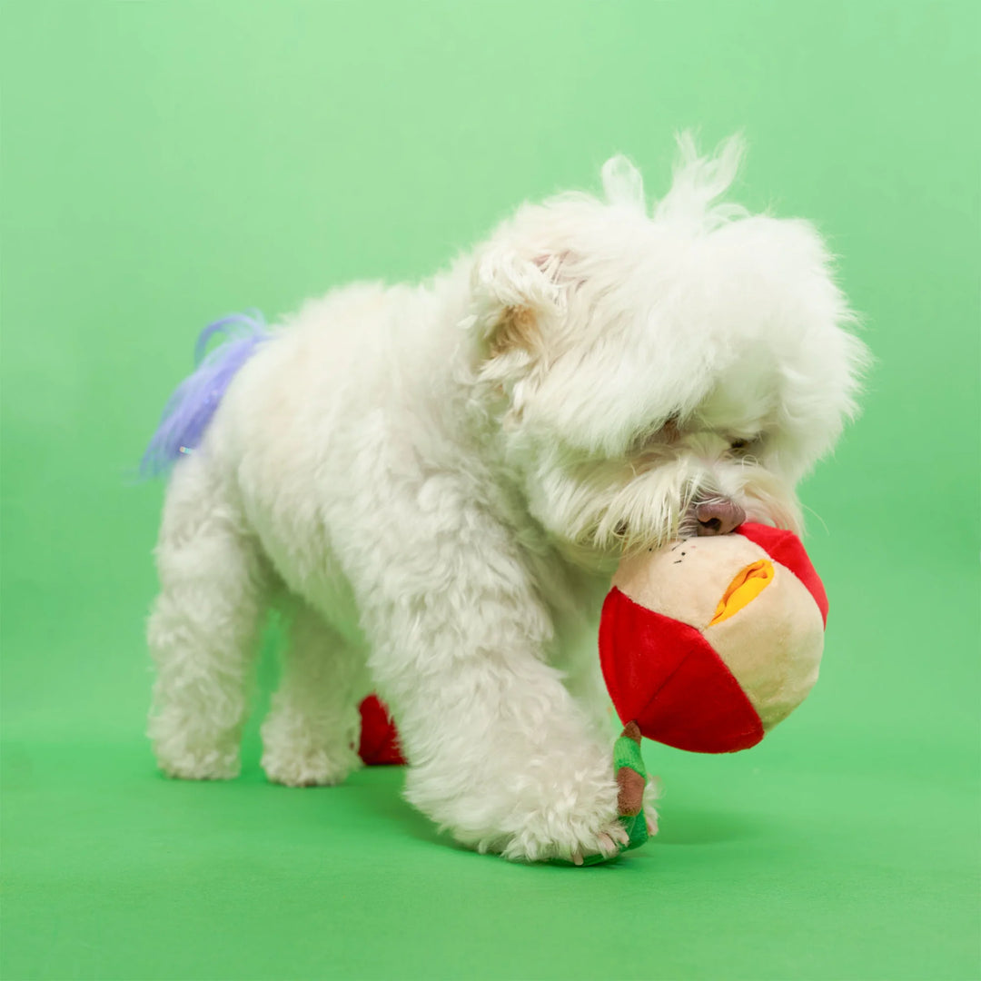 Apple Enrichment Dog Toy