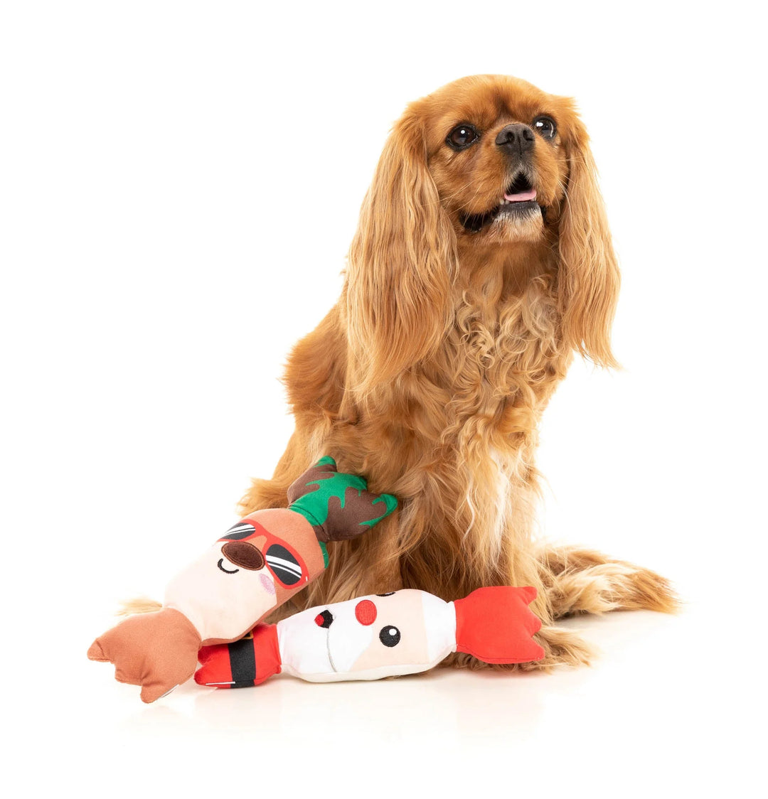 Christmas Cracker - Reindeer