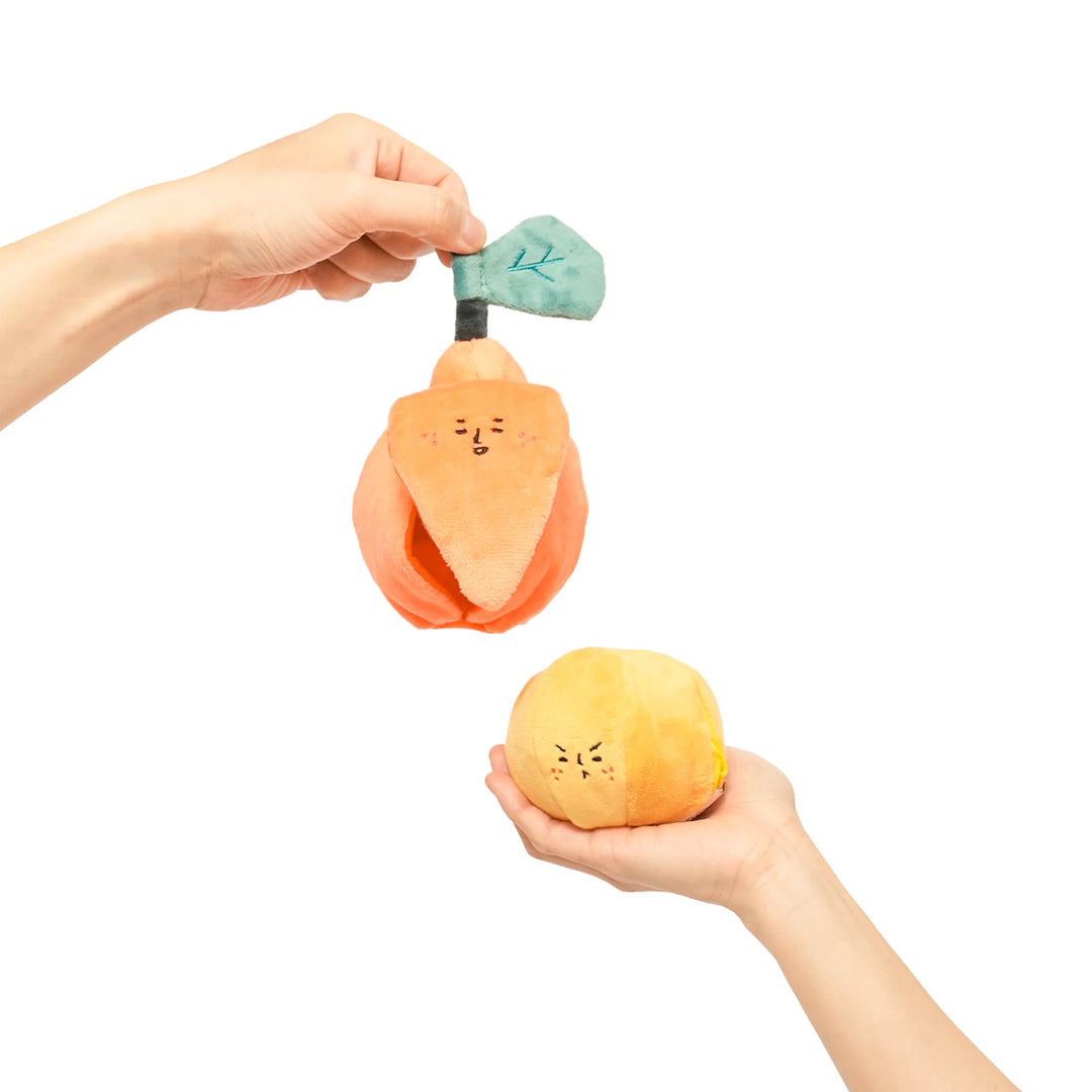 Orange Enrichment Dog Toy