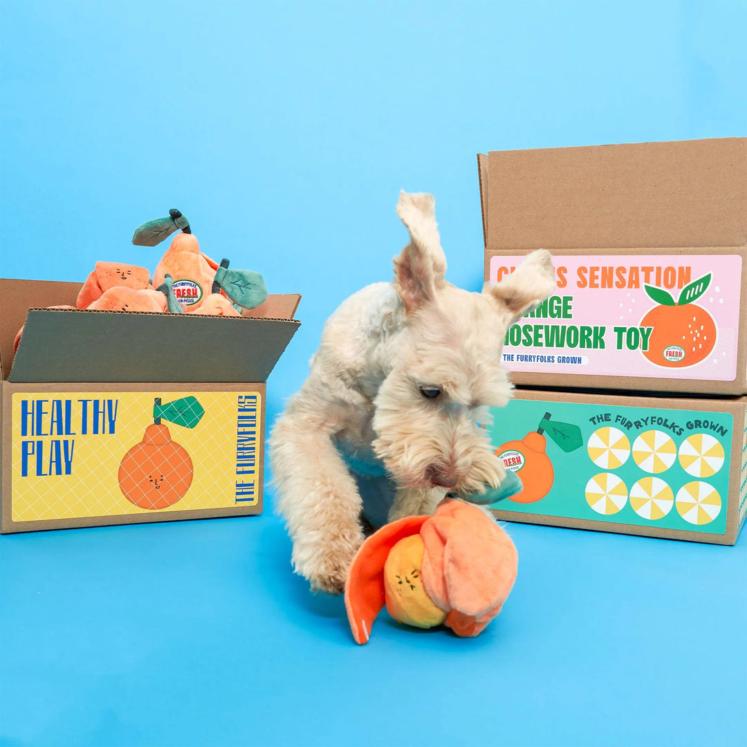 Orange Enrichment Dog Toy