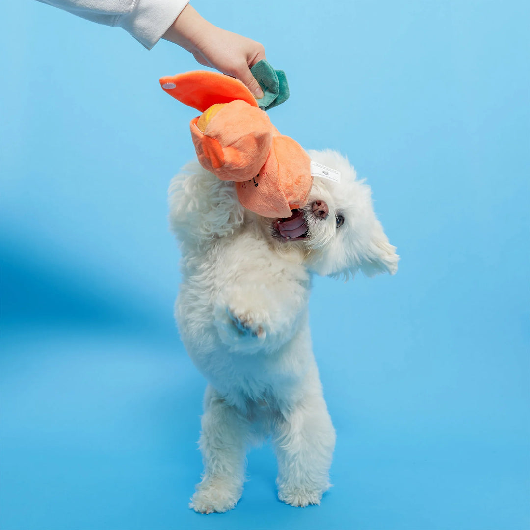 Orange Enrichment Dog Toy