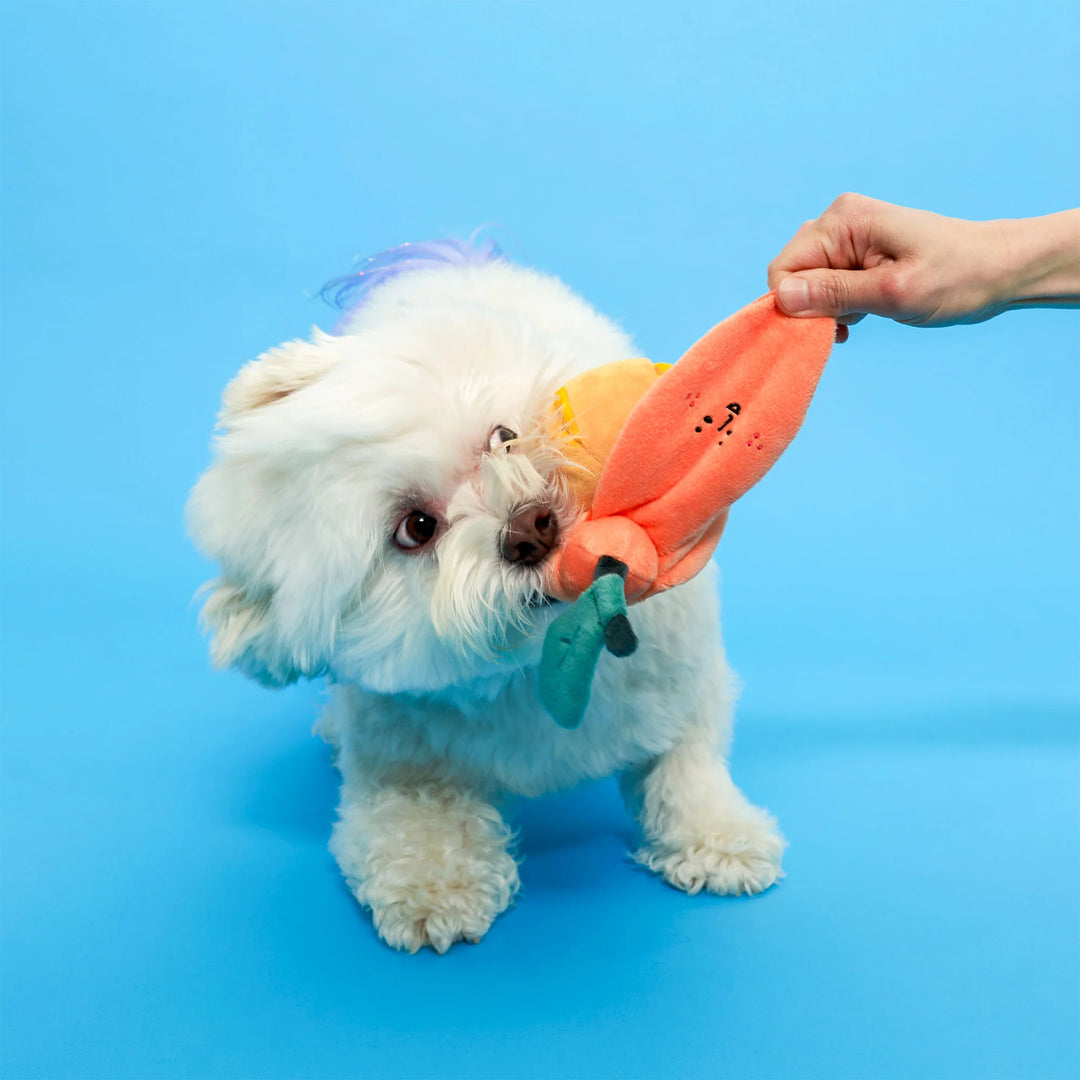 Orange Enrichment Dog Toy