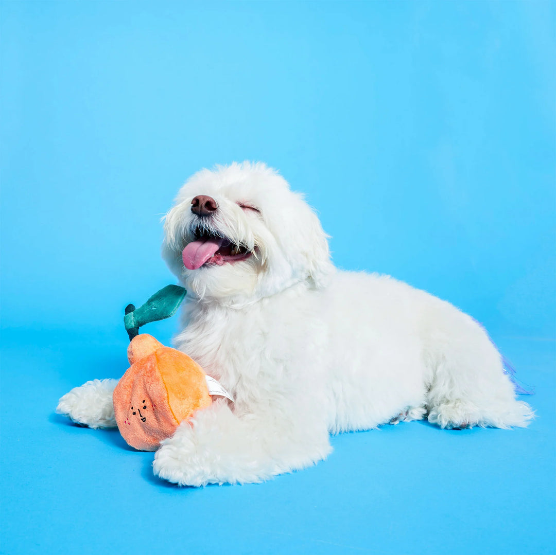 Orange Enrichment Dog Toy