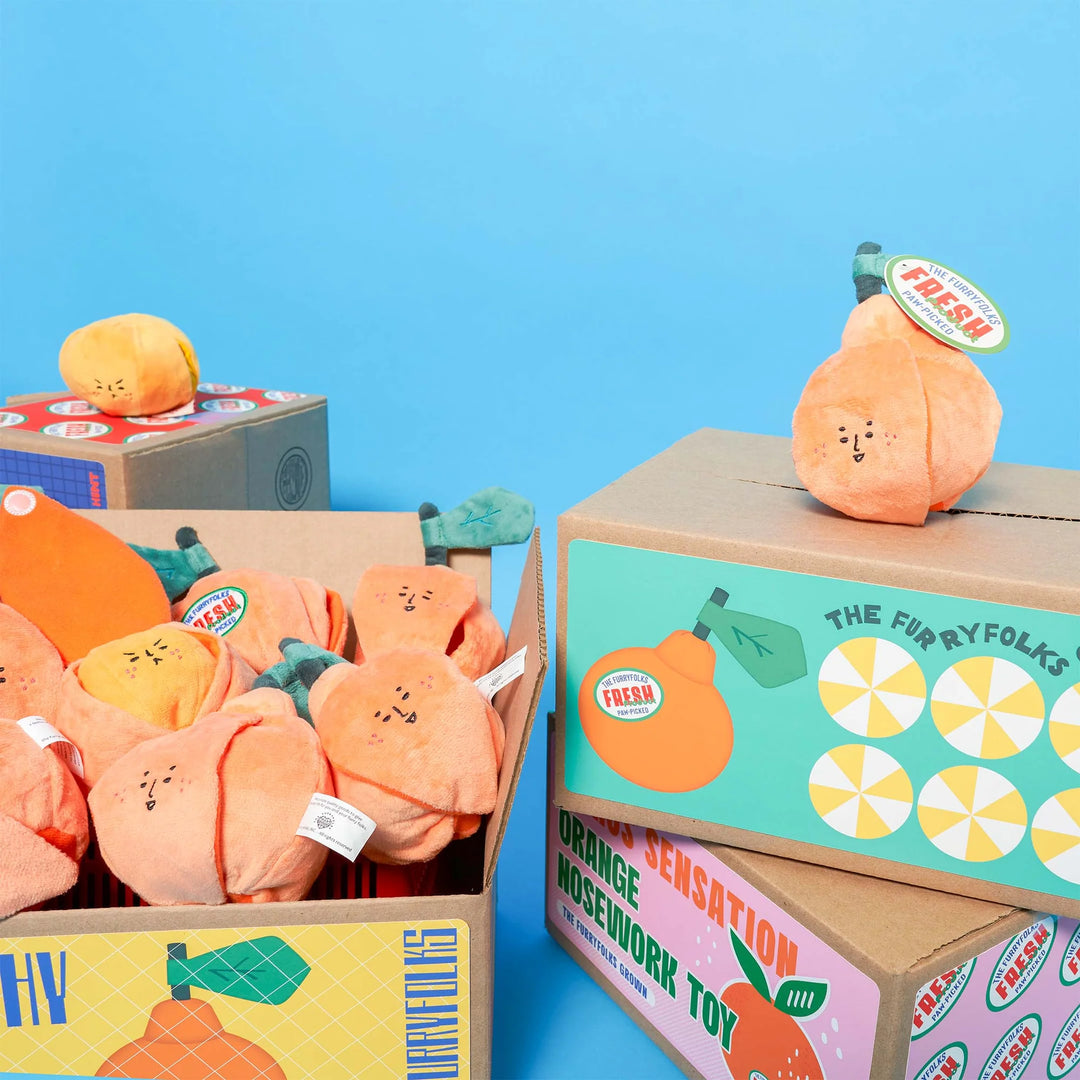 Orange Enrichment Dog Toy