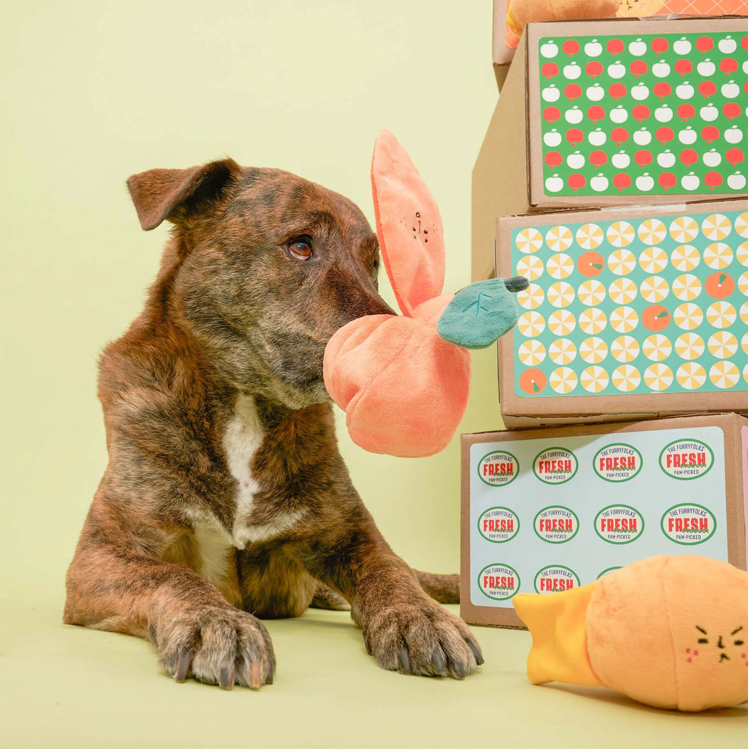 Orange Enrichment Dog Toy