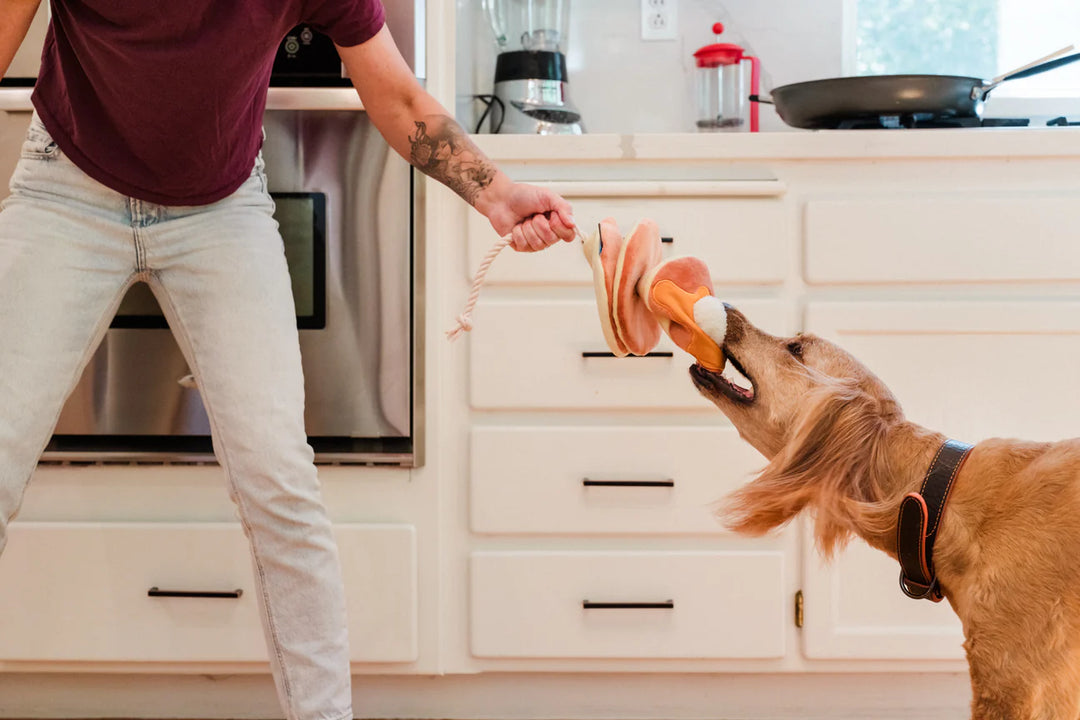 Pancake Pup Stack Dog toy