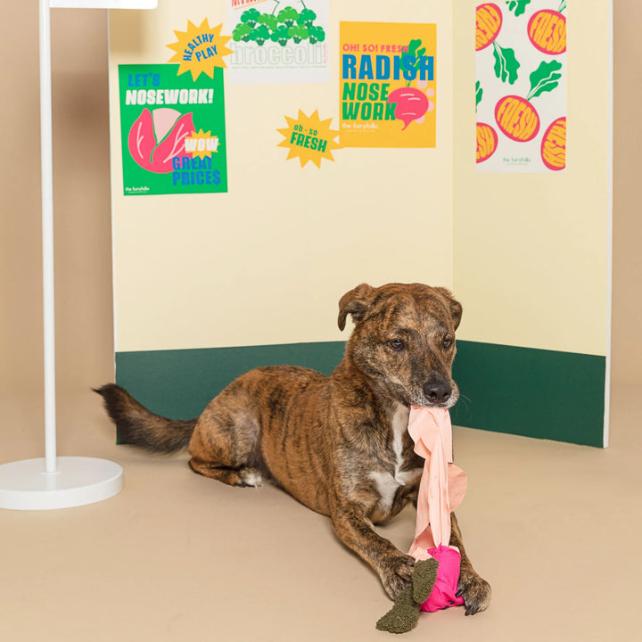 Radish Enrichment Dog Toy for Play