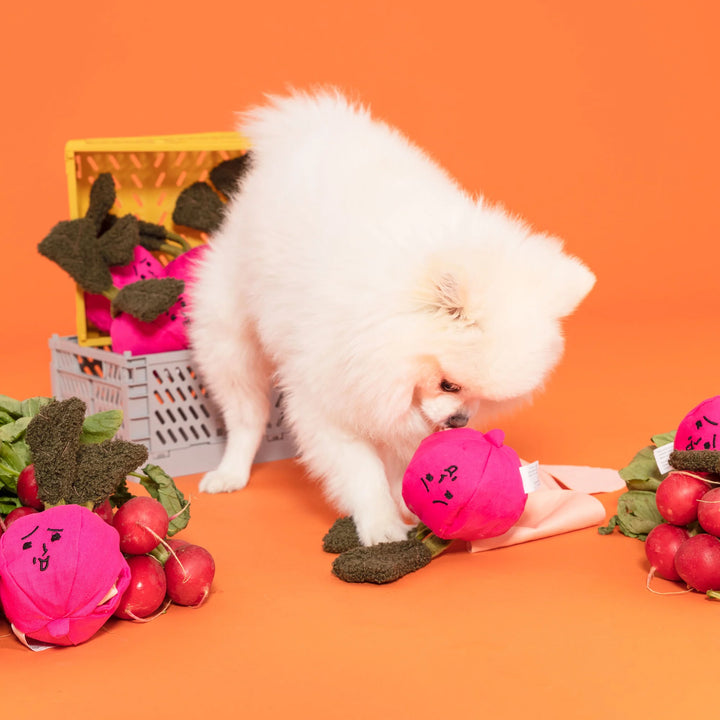 Radish Enrichment Dog Toy for Play