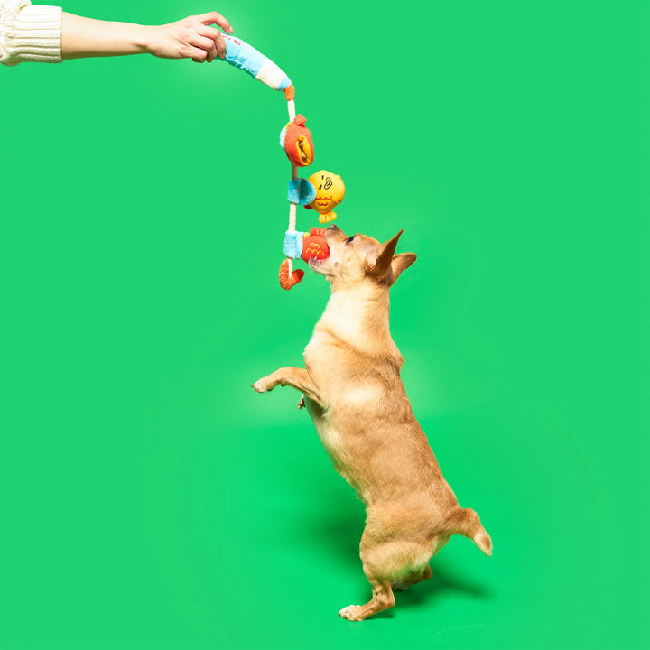 Fishing Enrichment Dog Toy
