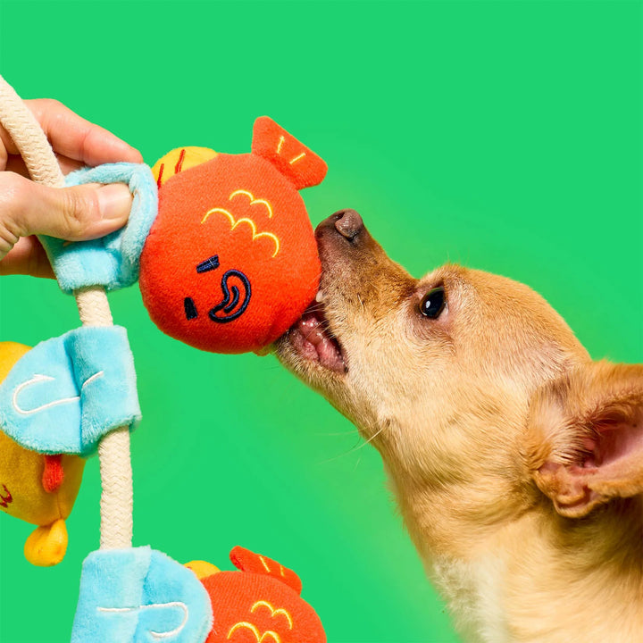 Fishing Enrichment Dog Toy