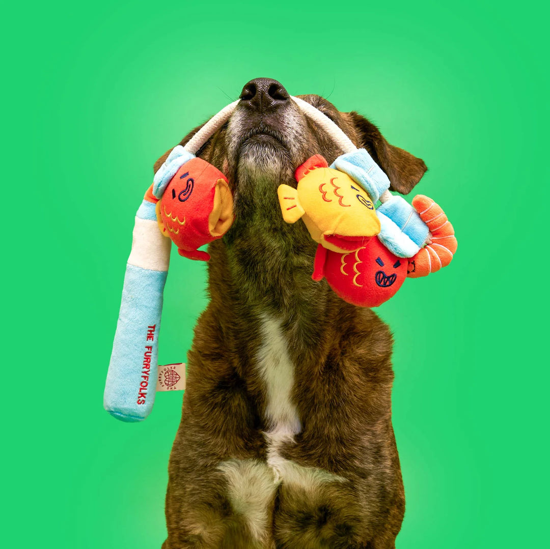 Fishing Enrichment Dog Toy