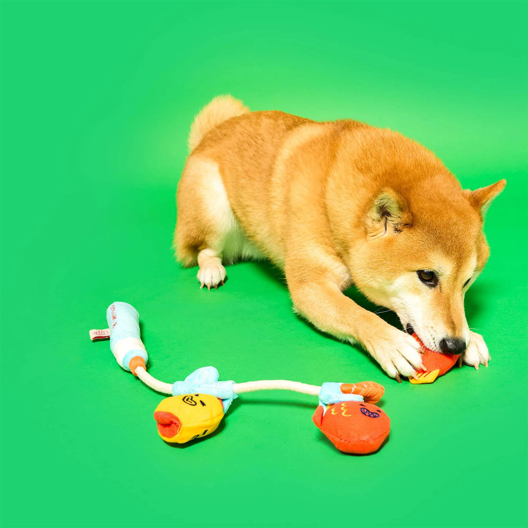 Fishing Enrichment Dog Toy