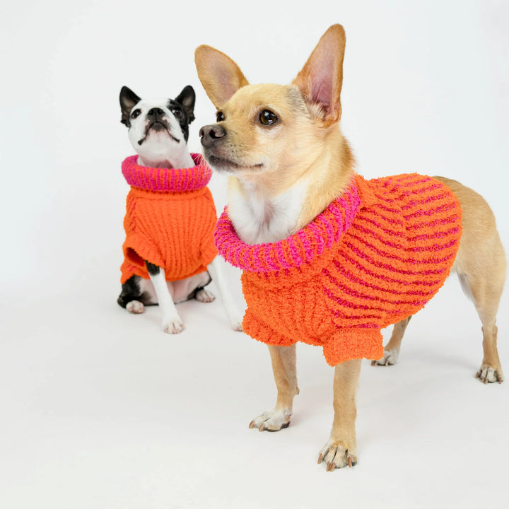 Ribbed Orange Sweater for Dogs