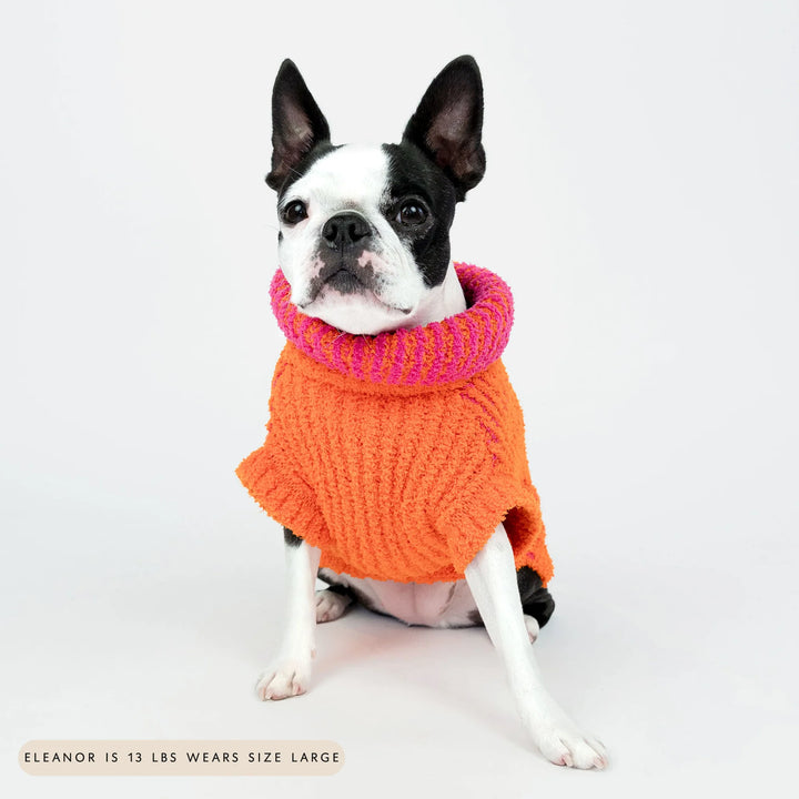 Ribbed Orange Sweater for Dogs