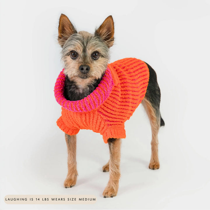 Ribbed Orange Sweater for Dogs