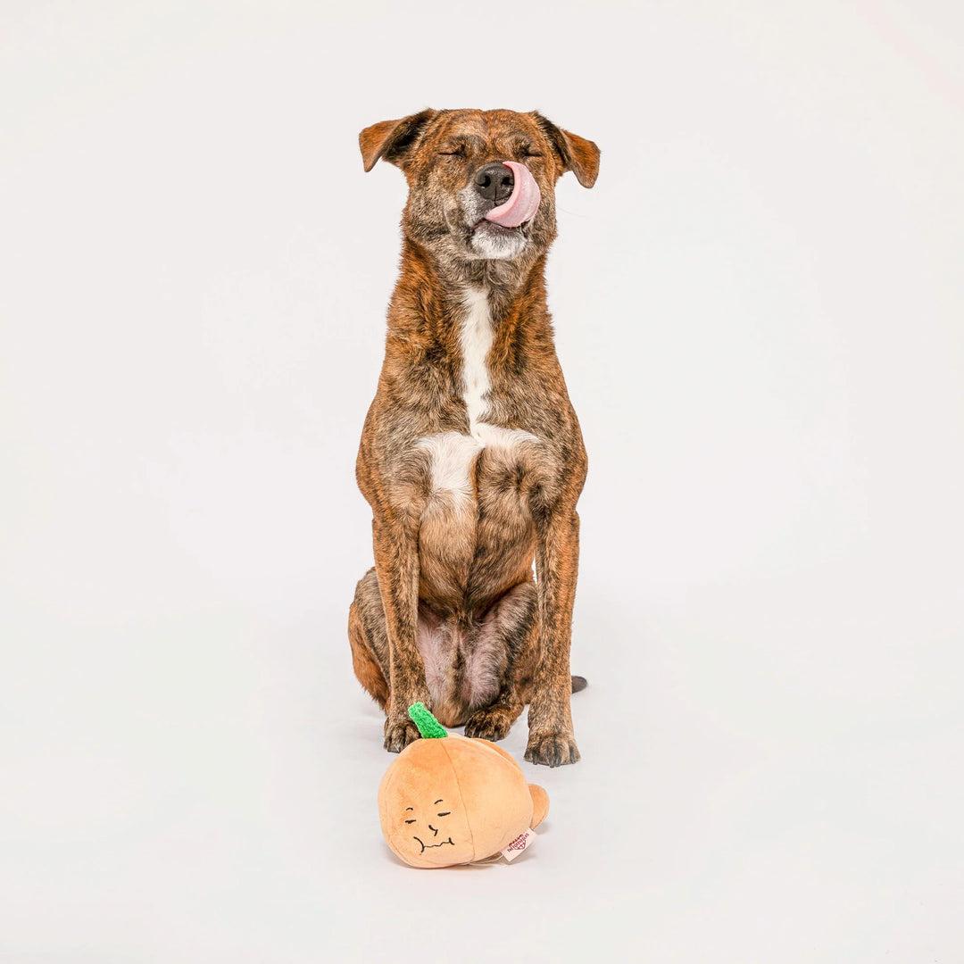 Yellow Onion Enrichment Dog Toy