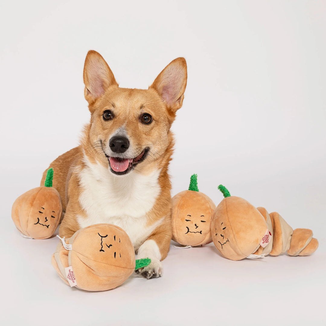 Yellow Onion Enrichment Dog Toy